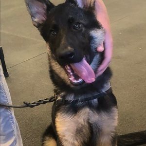 Meet your Posher, Quinton